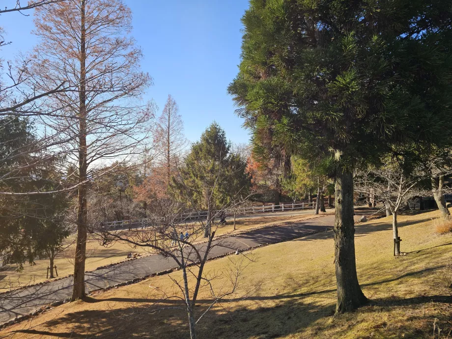 Βοσκότοπος Rokkosan