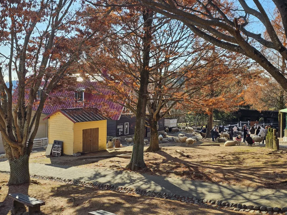 Βοσκότοπος Rokkosan