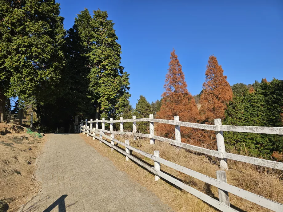 Βοσκότοπος Rokkosan