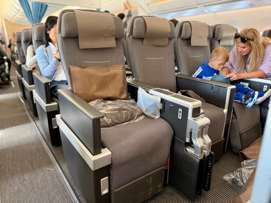 Θέσεις στην Premium Economy