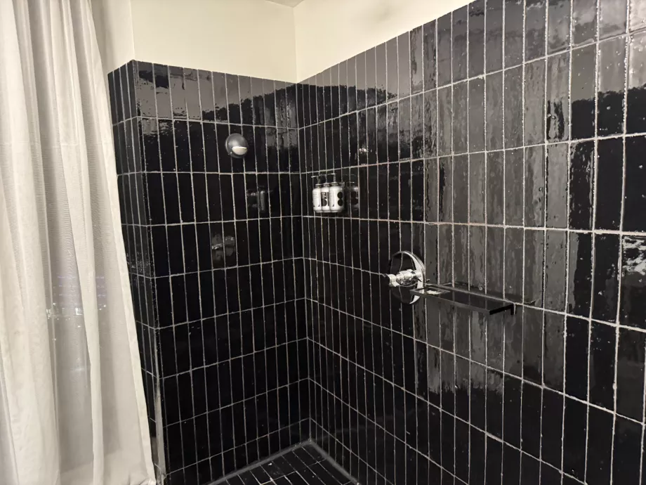 Μόνο ντους κεφαλής