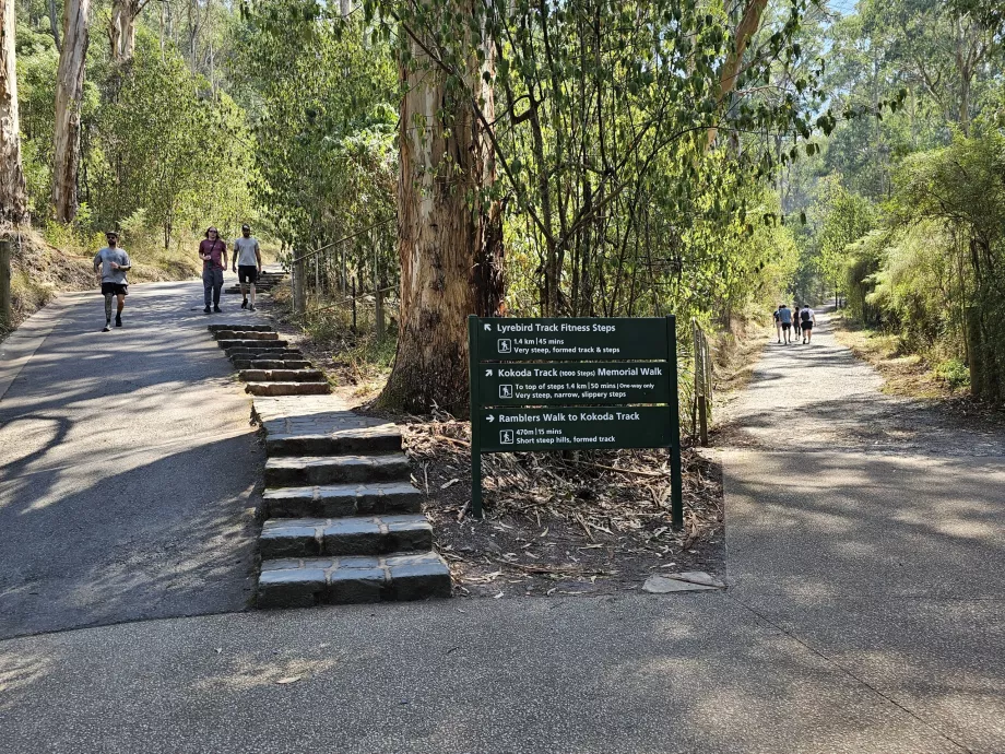 1000 βήματα