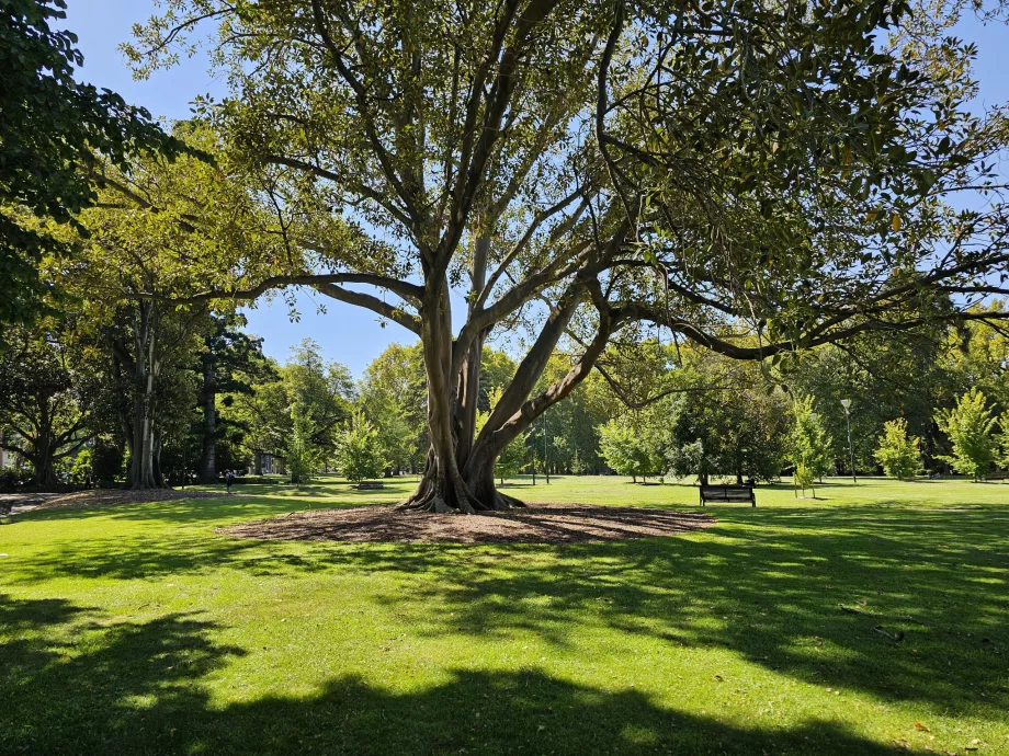 Κήποι Fitzroy Gardens