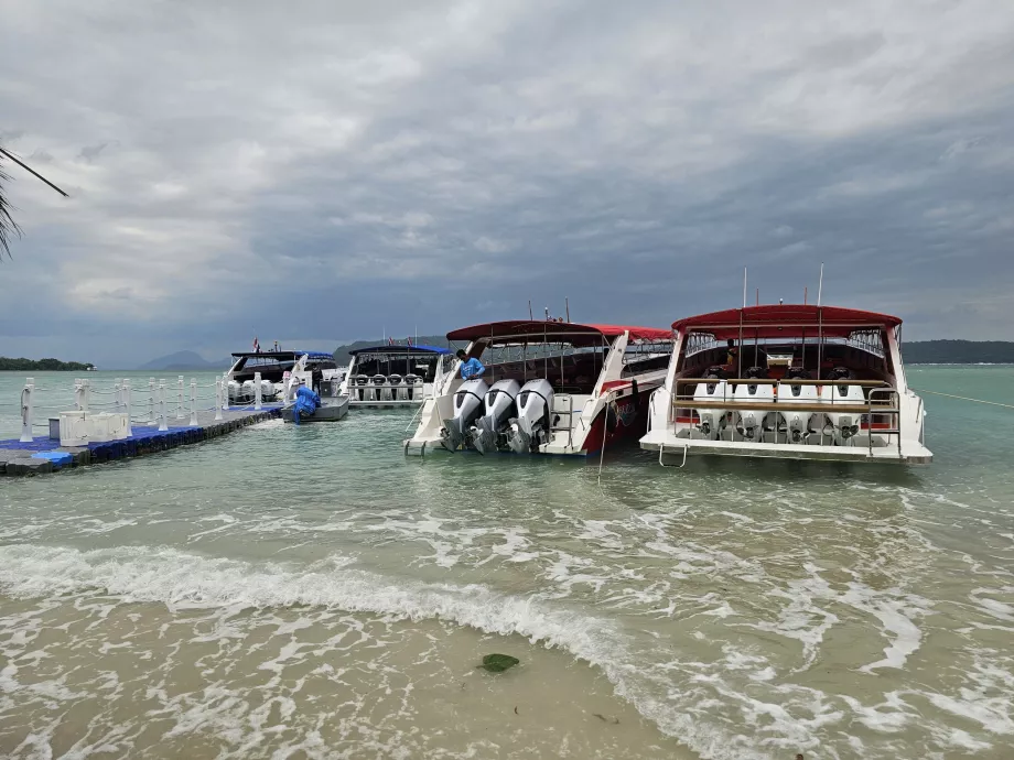 Τουριστικές βάρκες στο νησί Pig Island