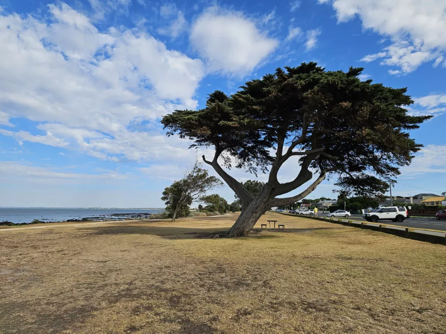 Πάρκο Williamstown