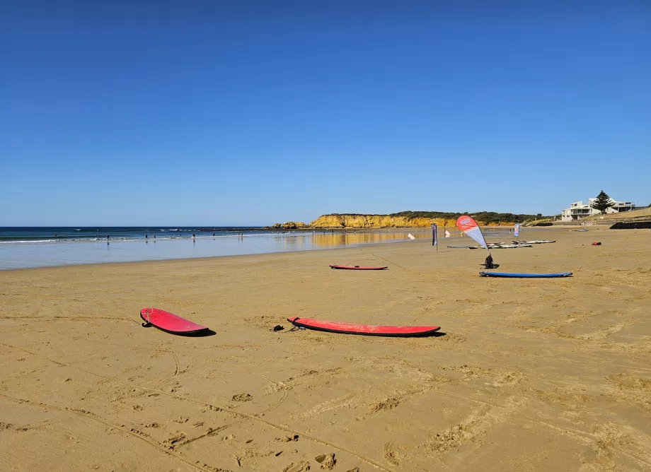 Σέρφινγκ Torquay
