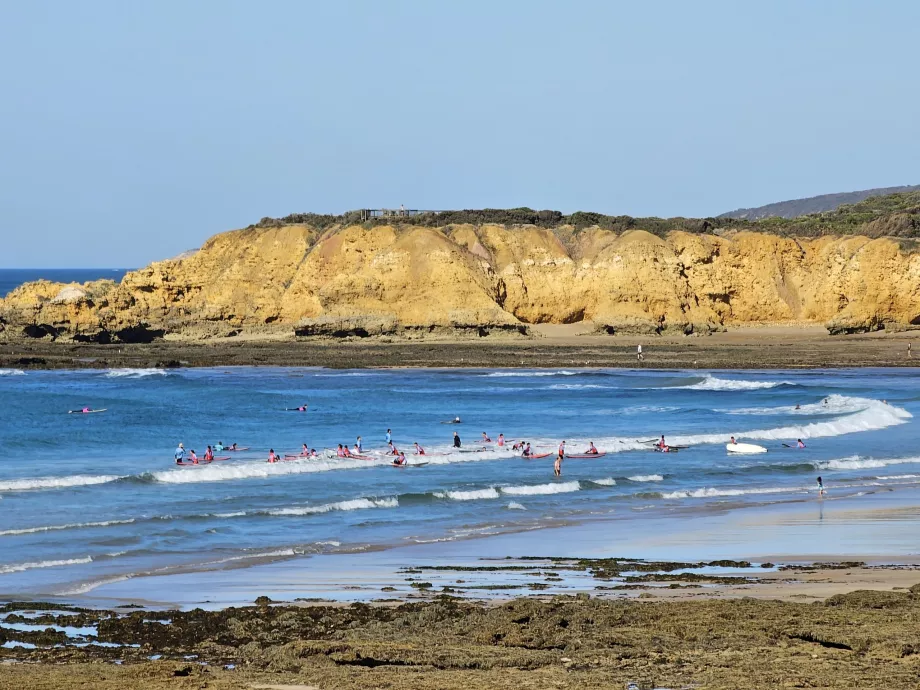 Παραλία Torquay Surf